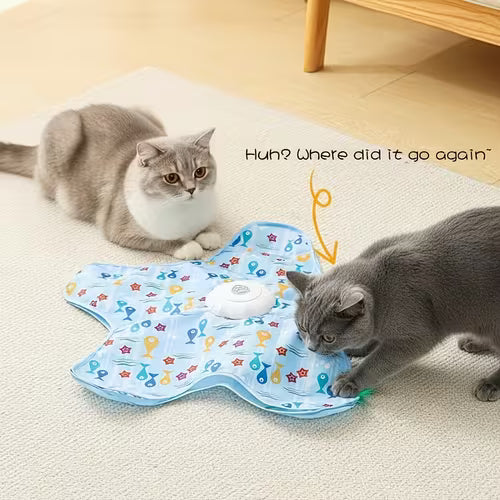 Smart Cat Toy Set