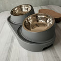 Modern Heavy-Duty Elevated Dual Pet Water Bowls