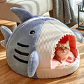 Adorable Feline Sleeping Area for Indoor Cats