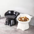 2 Elevated Fashion Slanted Anti-Vomiting Cat And Dog