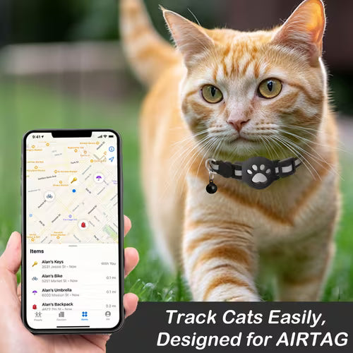Breakaway Reflective Cat Collar with Bell | 1 Pack