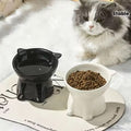 Cat Bowl Feeding