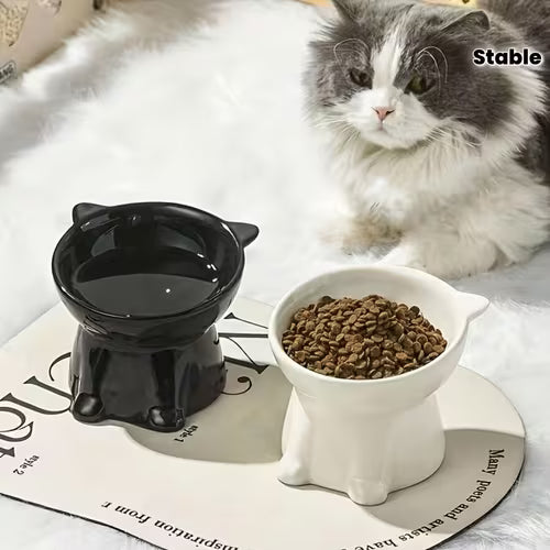 Cat Bowl Feeding