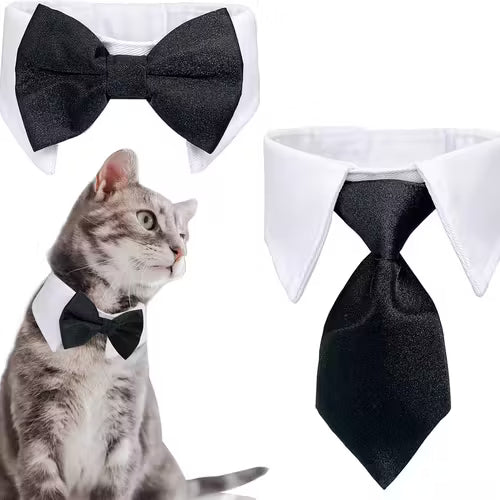 Adjustable Black & White Bow Tie Collar for Small Dogs