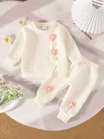 Baby Girl Floral Long Sleeve Pants Set
