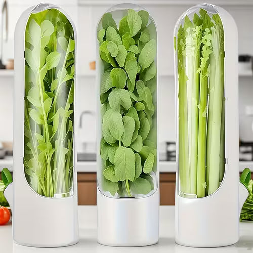 Large-Capacity Refrigerator Vegetable Crisper (With