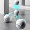 Pet Dog Toy Ball