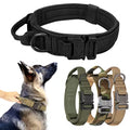 Stylish Medium to Large Size Pet Dog Collar with