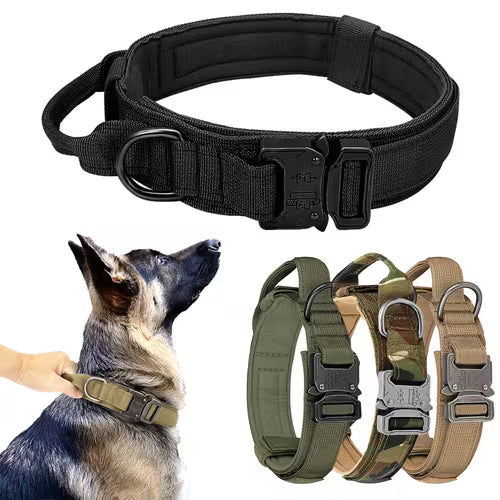 Stylish Medium to Large Size Pet Dog Collar with