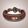 Pet Collar