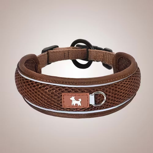 Pet Collar