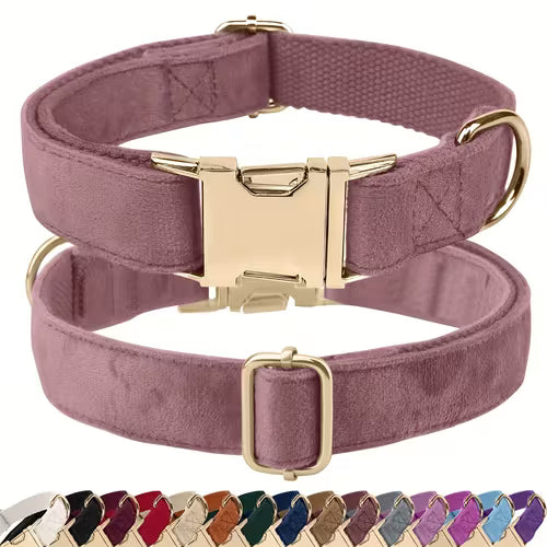 Luxury Velvet Dog Collar with Golden-Tone Metal