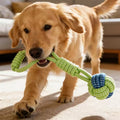 Dog Rope Knot Toy