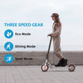 Long-Range Adult Electric Scooter with a Powerful 350W
