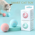 Smart Cat Ball Toy