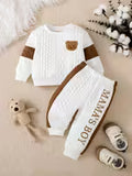 Boys' Casual 2pcs Set/Crew Neck Pullover and