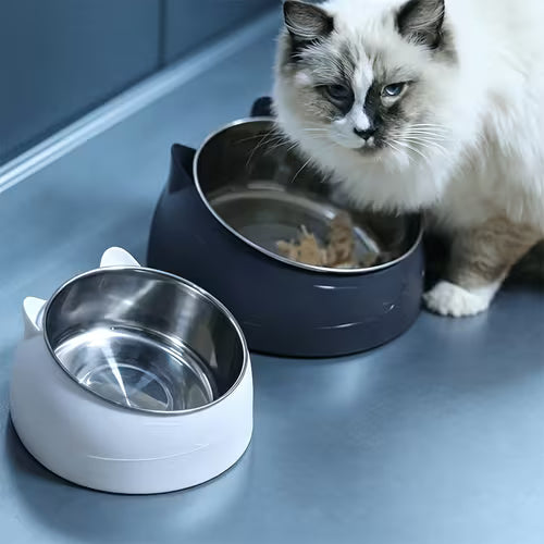 2pcs-( 1 Cat Bowl+ 1 Bracelet) Elevated Cat Bowl