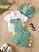 Baby Boy Dinosaur Outfit Set