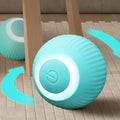Smart Cat Ball Toy