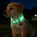 Luminous Pet Collar