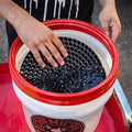 Car Wash Bucket Grit Collector Insert