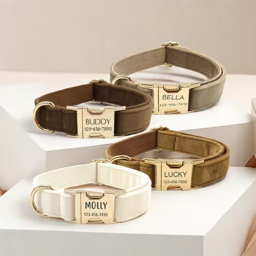 Dog Collar Personalized - with Personalized ID Tag