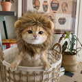 1pc Pet Lion Head Hood with Ears