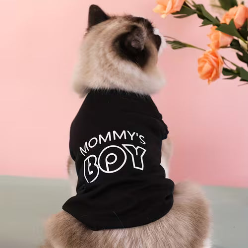 Stylish Summer Comfort: Breathable Knit Pullover Vest