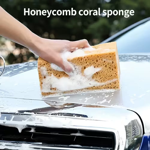 Professional Car Wash Sponge