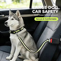 2pcs Set: Collar + Safety Harness