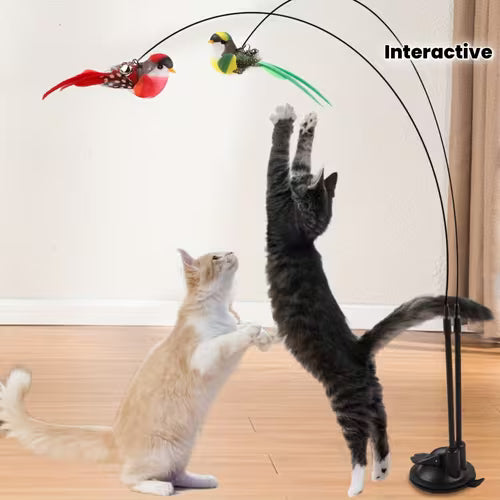 Interactive Cat Teasing Stick