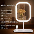 LED Makeup Mirror with Lights