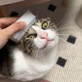 1pc Soft Cat Tongue-shaped Brush - Mimics a Mother
