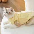 Warm Thick Cat Vest | Autumn Winter Pet Clothing