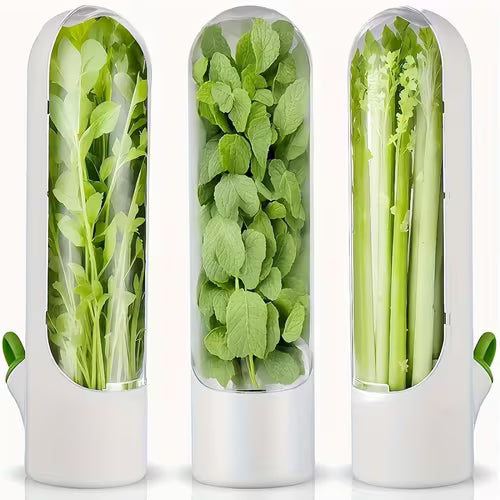 2pcs Plastic Material - Scallion Coriander