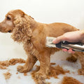 Dog Grooming Kit Low-Noise Dual-Speed