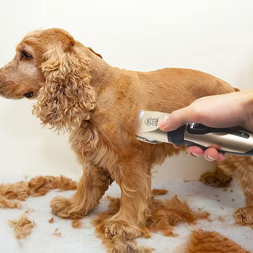 Dog Grooming Kit Low-Noise Dual-Speed