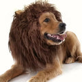 Lion Mane Dog Costume