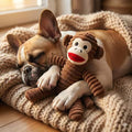 Squeaky Plush Monkey Dog Toy Durable Chew Toy for All