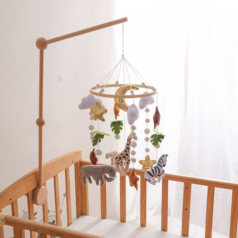 Baby Toys