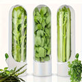 1pc/3pcs Herb and Vegetable Fresh-Keeping Cup