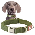 Durable Nylon Webbing Lined Dog Collar