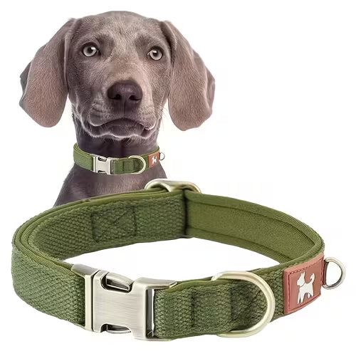 Durable Nylon Webbing Lined Dog Collar
