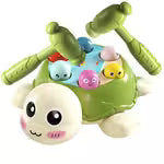 Educational Turtle Toy