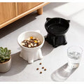 Elevated Cat And Dog Bowl with a 15° Tilt