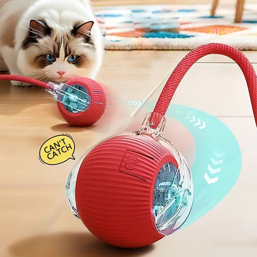 Cat toy ball