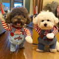 Universal Funny Transformation Costume for Cats and