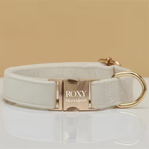 Personalized Velvet Dog Collar | Custom Engraved with
