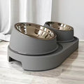 Modern Heavy-duty Elevated Dual Pet Food and Water