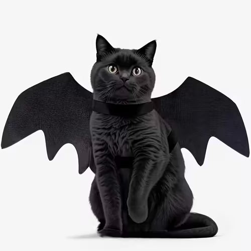 Halloween Bat Costume Party Decoration Cat Additions